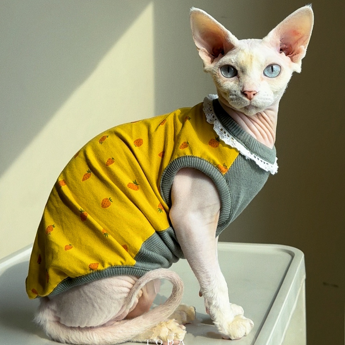 Yellow Summer Clothing - เสื้อผ้าสำหรับแมว ฤดูใบไม้ผลิ สีเหลืองหวาน สีเขียว เสื้อกั๊กคอปกลูกไม้ผ้าฝ้าย สำหรับแมวเดวอนเร็กซ์