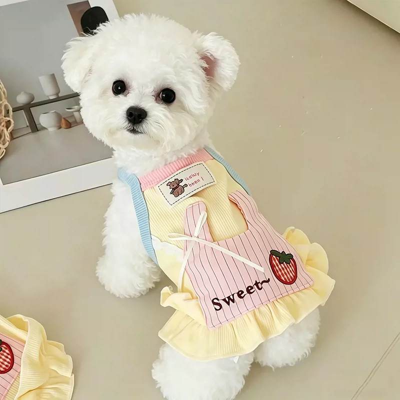 เสื้อผ้าสุนัขสีเหลือง-น้ำเงินส - Yellow Summer Clothing บทวิจารณ์และราคา